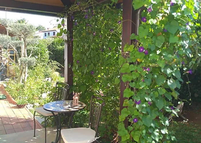 Jasna Lejlighed Poreč